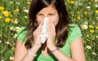 Как лечить насморк дома: растительные капли в нос, промывания, ингаляции