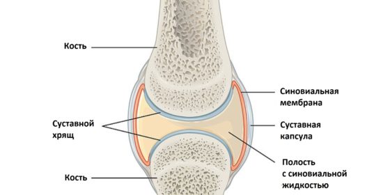 Гиалуроновая кислота - естественный компонент синовиальной жидкости 