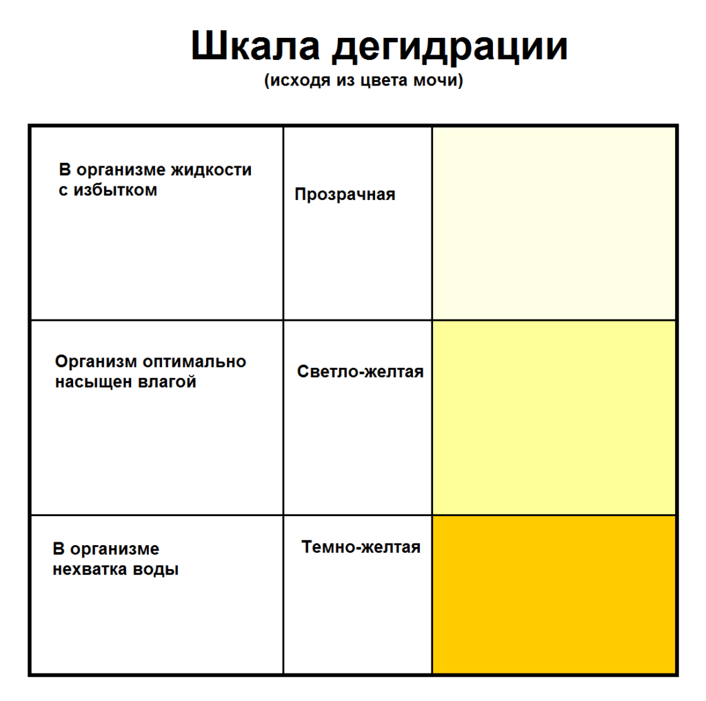 Темная моча и желтый стул